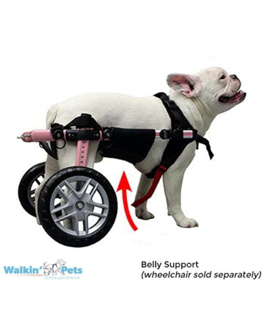 Belly Support for Walkin' Wheelchair – Wheels4Dogs