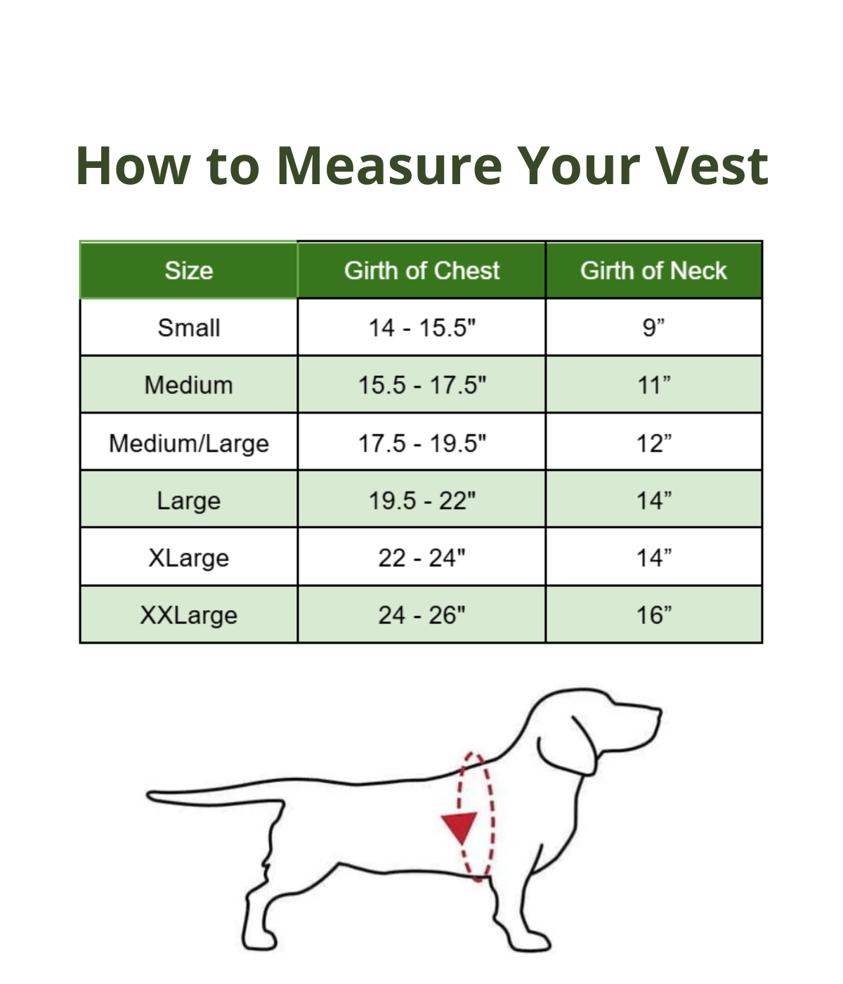 Walkin’ Wheels DACHSHUND Dog Wheelchair