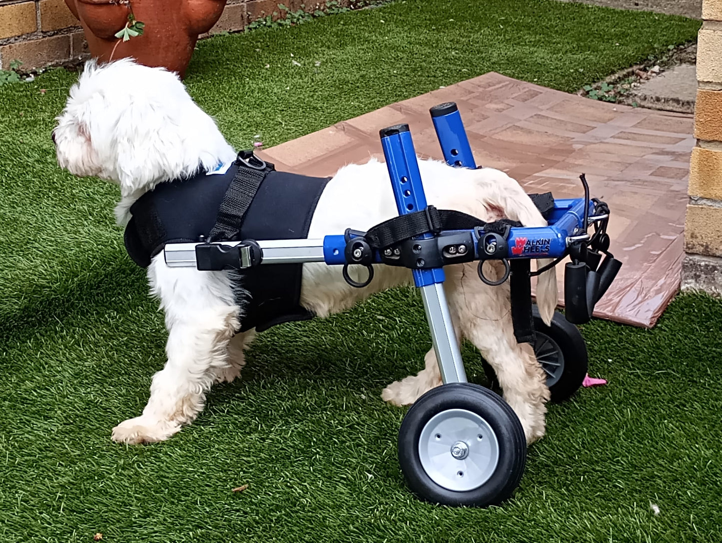 Walkin’ Wheels SMALL Dog Wheelchair (3.5 - 11kg)