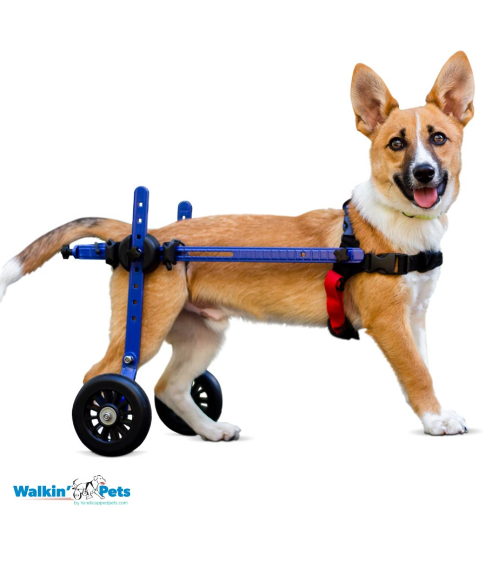 Walkin’ Wheels MINI Dog Wheelchair (less than 3.5kg)