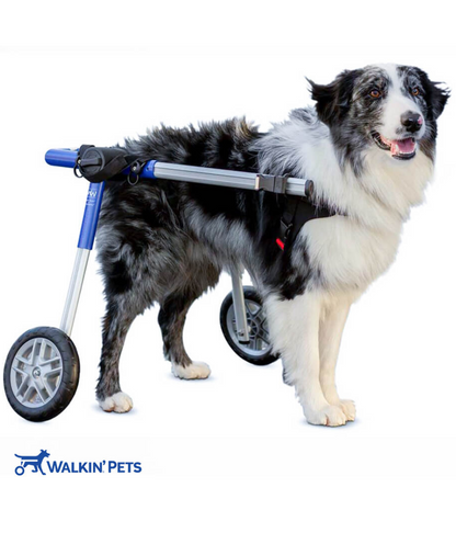 Walkin’ Wheels MEDIUM Dog Wheelchair (11 - 30kg)