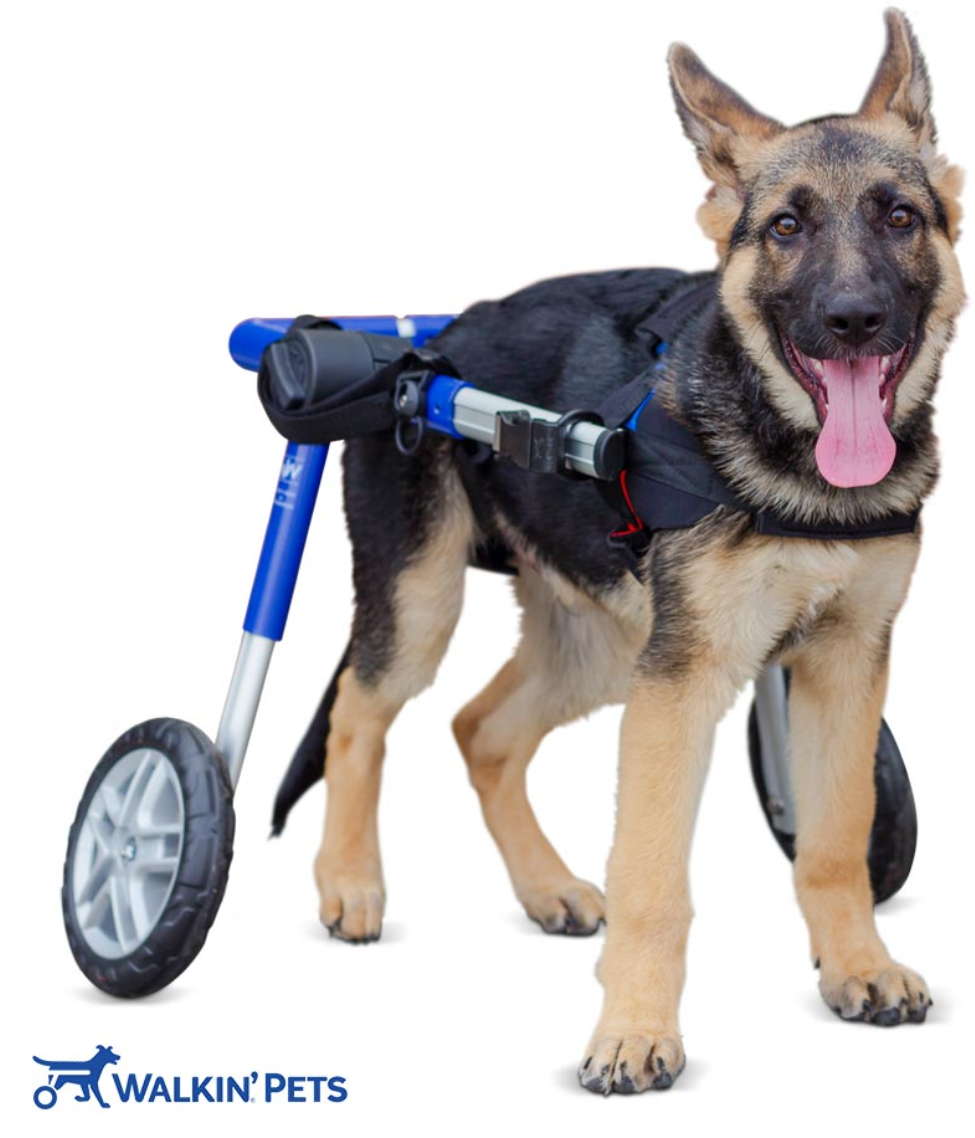 Walkin’ Wheels MEDIUM Dog Wheelchair (11 - 30kg)