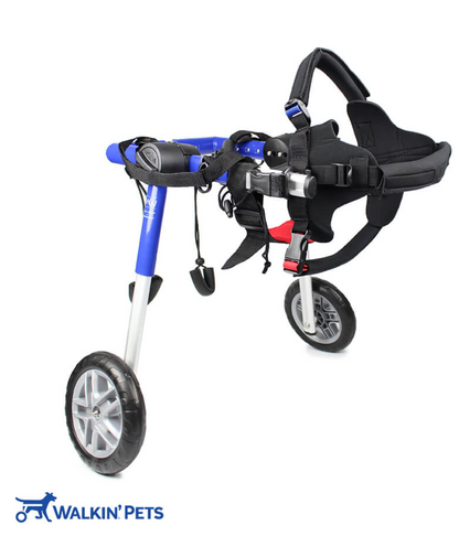 Walkin’ Wheels MEDIUM Dog Wheelchair (11 - 30kg)