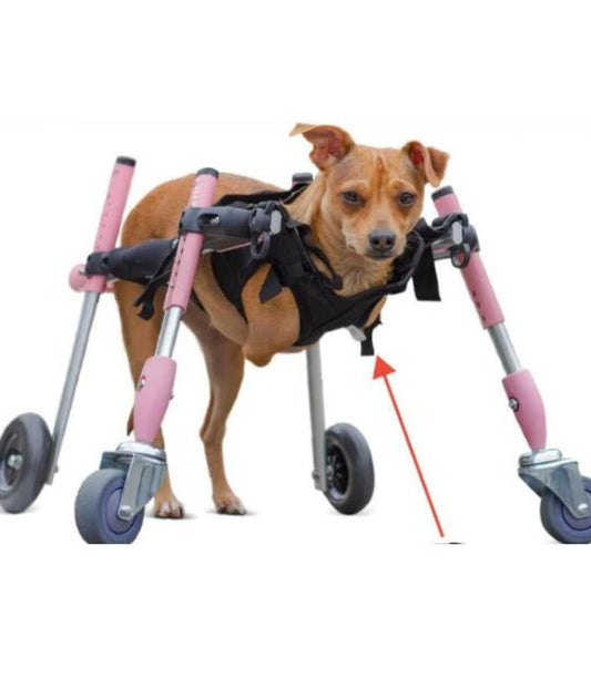 Front Quad Wheelchair Harness
