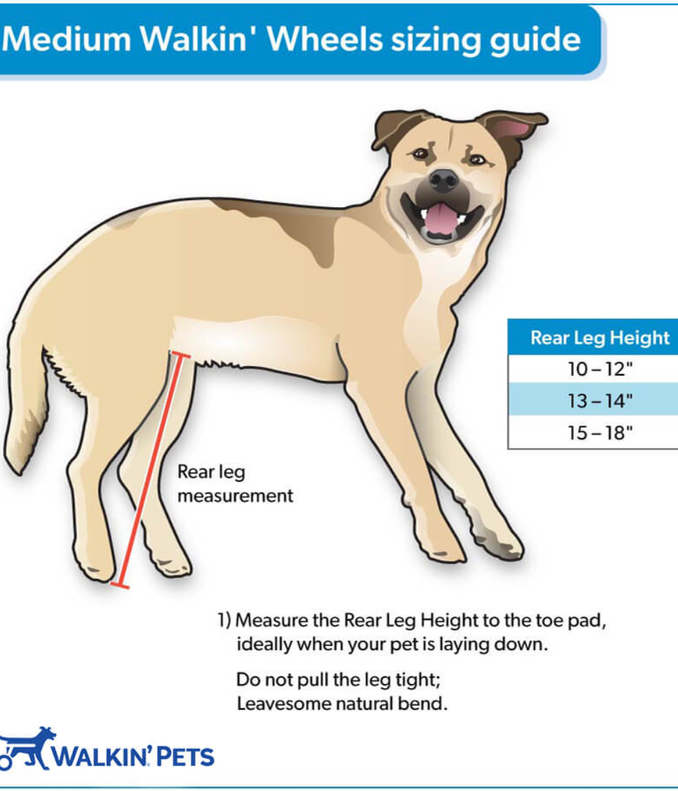 Walkin’ Wheels MEDIUM Dog Wheelchair (11 - 30kg)