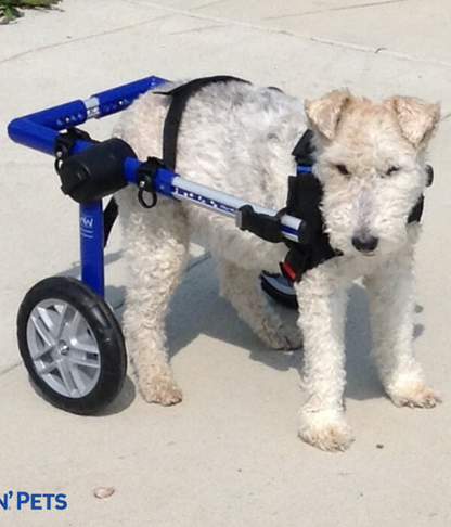 Walkin’ Wheels MEDIUM Dog Wheelchair (11 - 30kg)