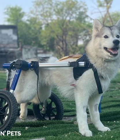 Walkin’ Wheels MEDIUM Dog Wheelchair (11 - 30kg)