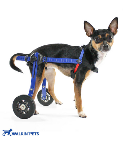 Walkin’ Wheels MINI Dog Wheelchair (less than 3.5kg)