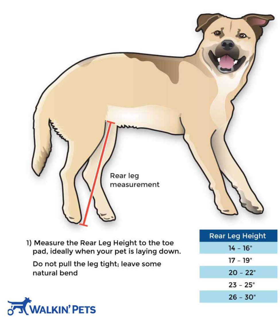 Walkin’ Wheels LARGE Dog Wheelchair (31 - 82kg)