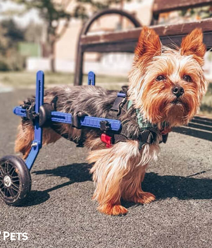 Walkin’ Wheels MINI Dog Wheelchair (less than 3.5kg)