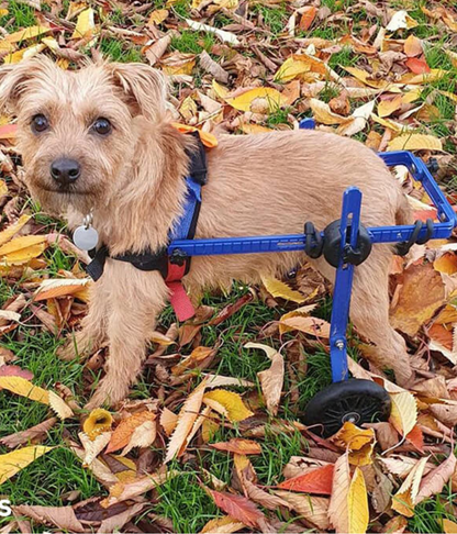 Walkin’ Wheels MINI Dog Wheelchair (less than 3.5kg)