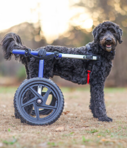 Walkin’ Wheels LARGE Dog Wheelchair (31 - 82kg)