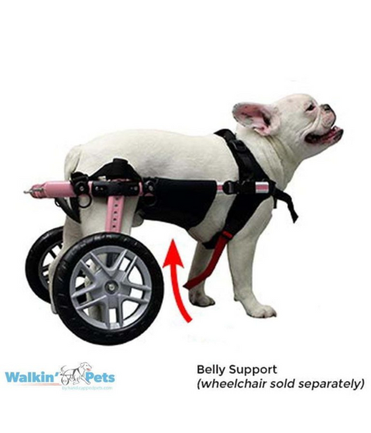 Belly Support for Walkin' Wheelchair