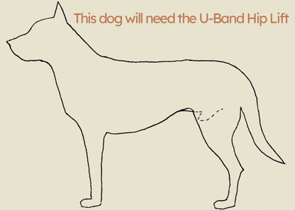 Help ‘Em Up - With U-Band Rear Harness (for 20% of males dogs)