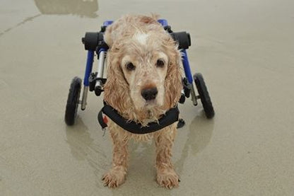 Walkin’ Wheels SMALL Dog Wheelchair (3.5 - 11kg)