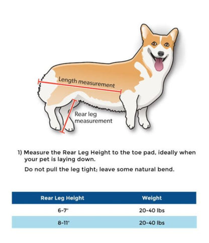 Walkin’ Wheels CORGI Dog Wheelchair