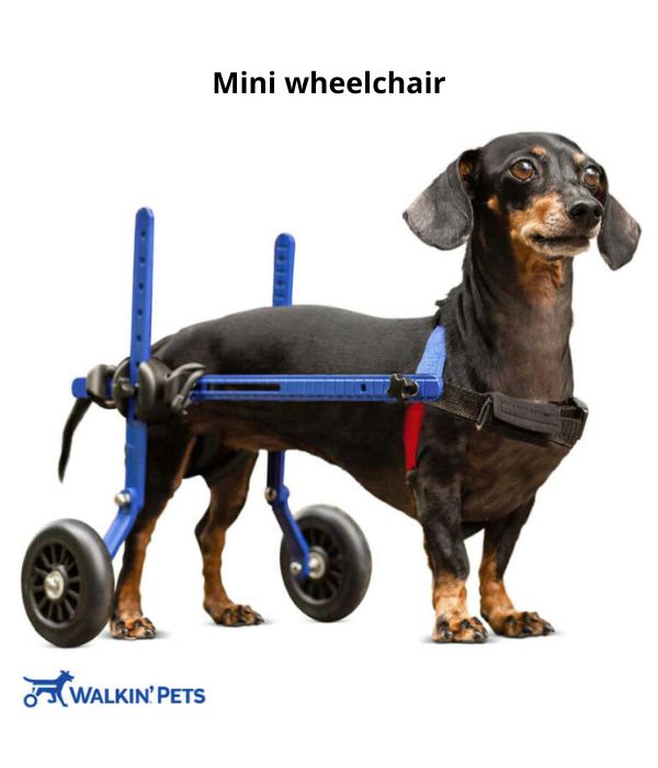 Walkin’ Wheels DACHSHUND Dog Wheelchair