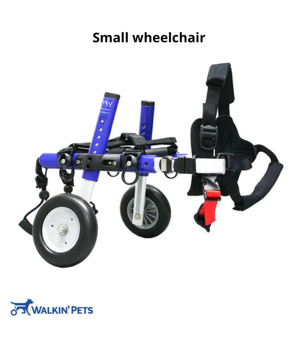 Walkin’ Wheels DACHSHUND Dog Wheelchair