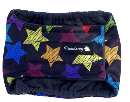 Male Dog Nappies (Male Dog Nappy + 2 washable pads)