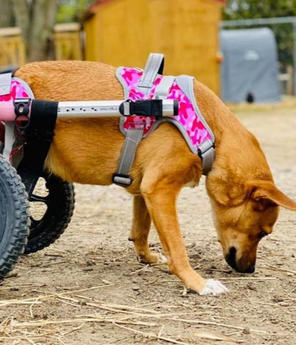 Front Warrior Harness for Walkin' Dog Wheelchair