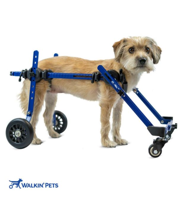 Walkin’ Wheels Full Support Quad 4 Wheel - Dog Wheelchair MINI (less than 3.5kg)