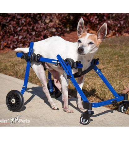 Walkin’ Wheels Full Support Quad 4 Wheel - Dog Wheelchair MINI (less than 3.5kg)