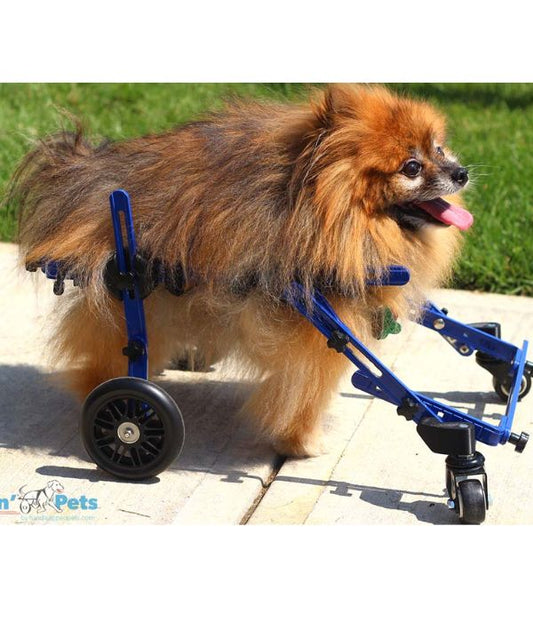 Walkin’ Wheels Full Support Quad 4 Wheel - Dog Wheelchair MINI (less than 3.5kg)