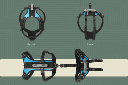 Help ‘Em Up - With U-Band Rear Harness (for 20% of males dogs)