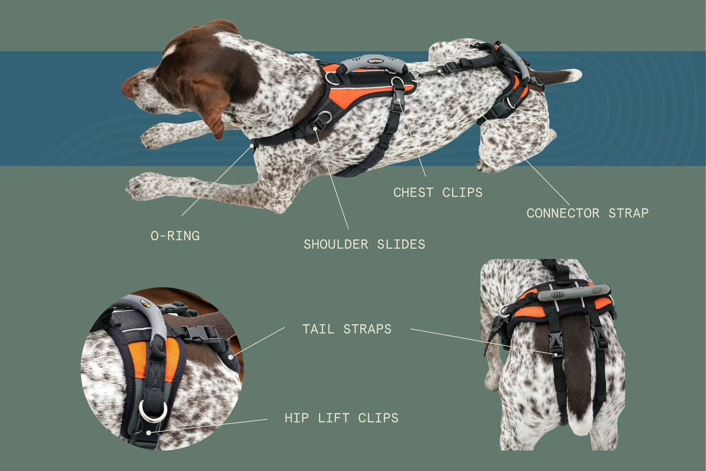 Help ‘Em Up Harness - Full Body Dog Harness