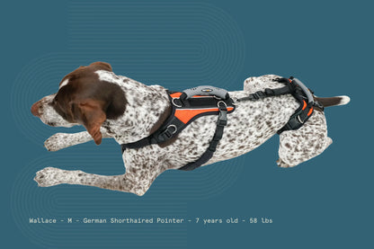 Help ‘Em Up Harness - Full Body Dog Harness