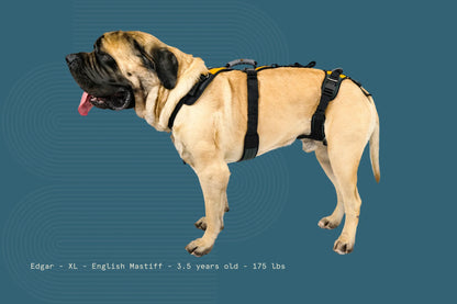 Help ‘Em Up Harness - Full Body Dog Harness