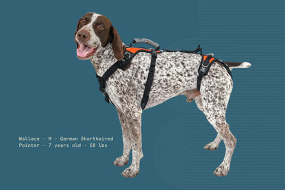 Help ‘Em Up Harness - Full Body Dog Harness