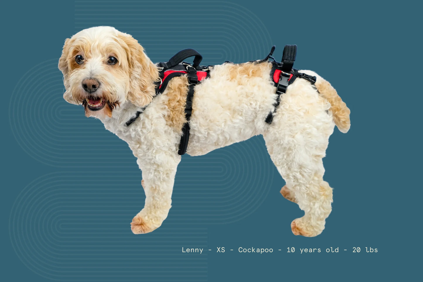 Help ‘Em Up Harness - Full Body Dog Harness