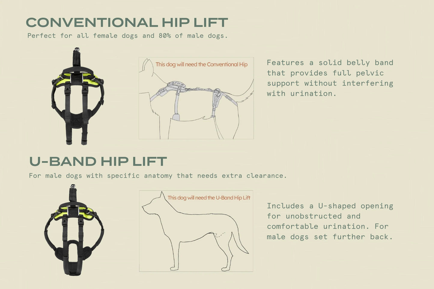Help ‘Em Up - With U-Band Rear Harness (for 20% of males dogs)