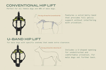 Help ‘Em Up - With U-Band Rear Harness (for 20% of males dogs)