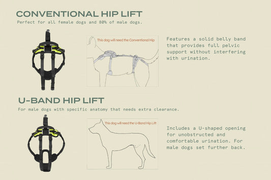 Help ‘Em Up - With U-Band Rear Harness (for 20% of males dogs)