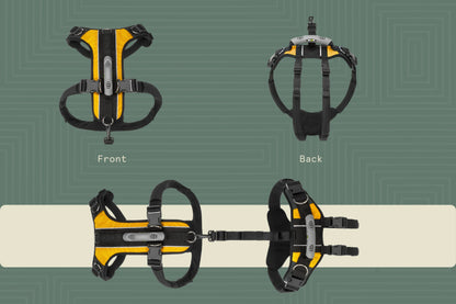 Help ‘Em Up - With U-Band Rear Harness (for 20% of males dogs)