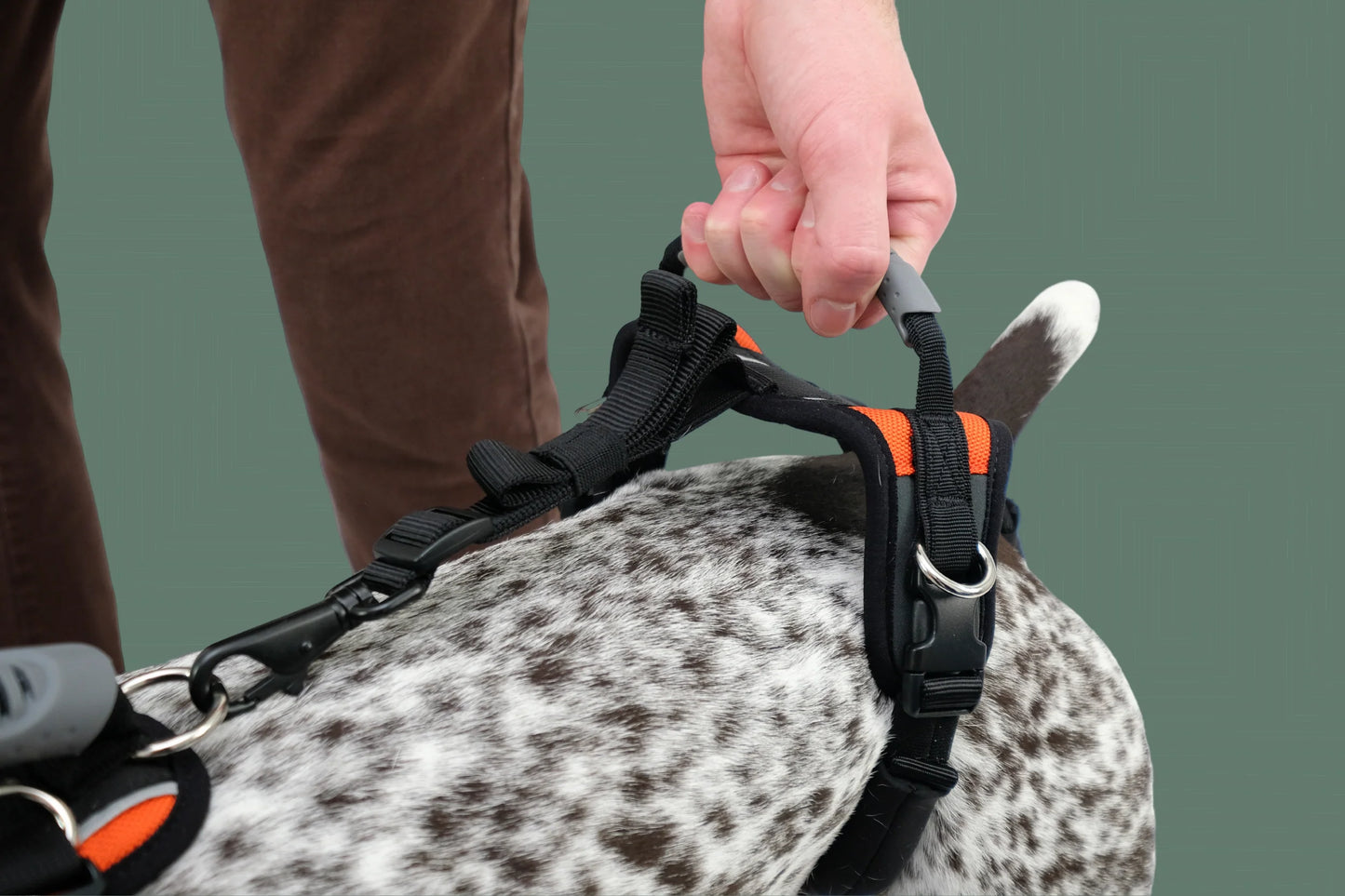 Help ‘Em Up Harness - Full Body Dog Harness