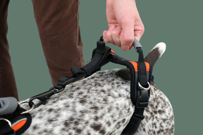 Help ‘Em Up Harness - Full Body Dog Harness