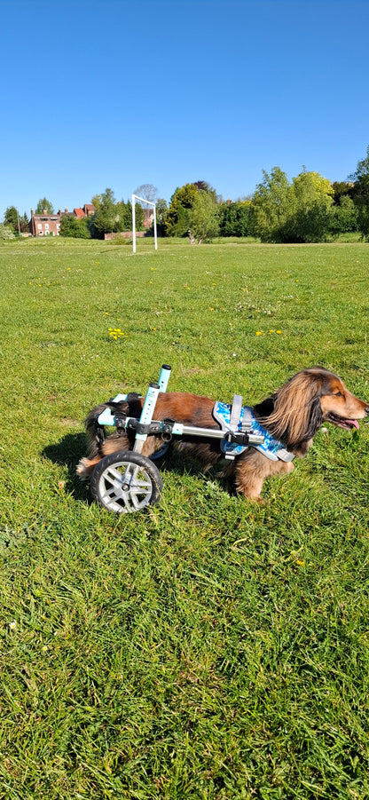 Walkin’ Wheels DACHSHUND Dog Wheelchair