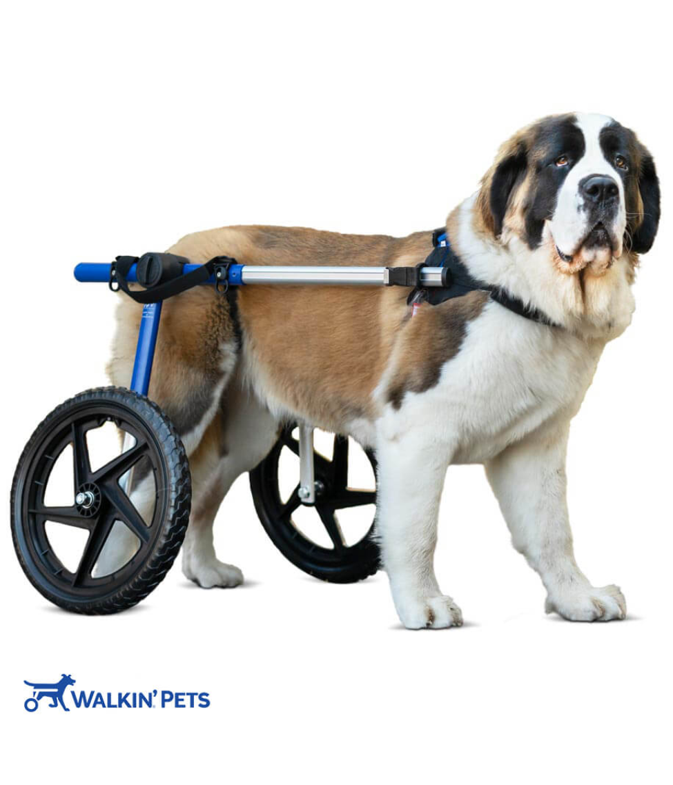 Walkin’ Wheels LARGE Dog Wheelchair (31 - 82kg)