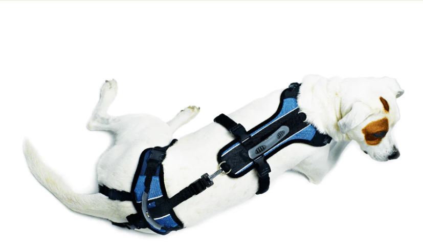 Help ‘Em Up Harness - Full Body Dog Harness