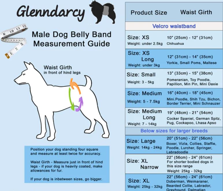 Male Dog Nappies (Male Dog Nappy + 2 washable pads)