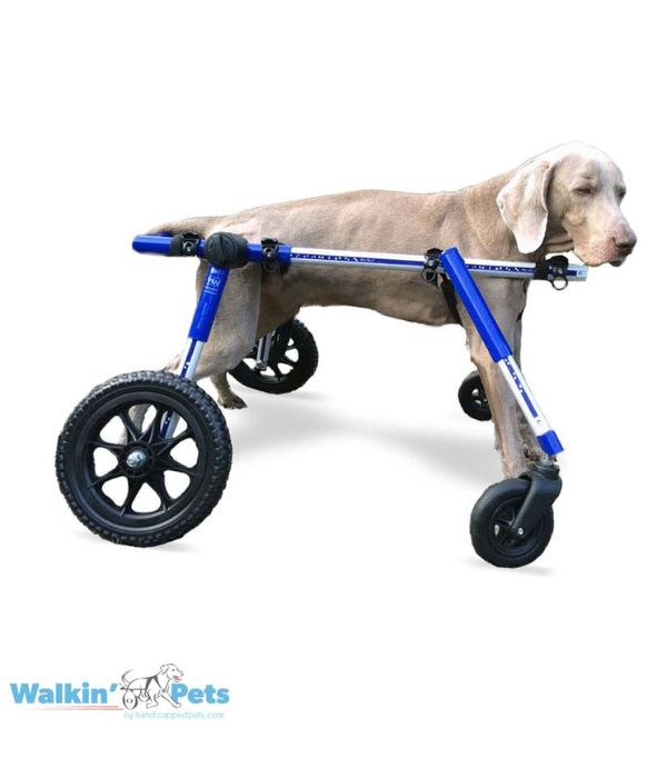 Walkin’ Wheels Full Support Quad 4 Wheel - Dog Wheelchair MEDIUM (11 - 30kg)