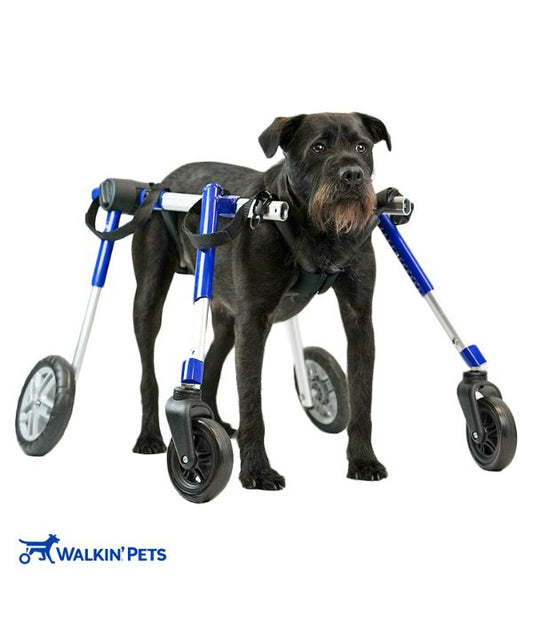 Walkin’ Wheels Full Support Quad 4 Wheel - Dog Wheelchair MEDIUM (11 - 30kg)