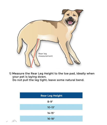 Walkin’ Wheels Full Support Quad 4 Wheel - Dog Wheelchair MEDIUM (11 - 30kg)