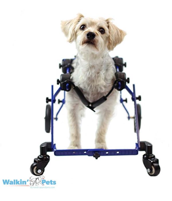 Walkin’ Wheels Full Support Quad 4 Wheel - Dog Wheelchair MINI (less than 3.5kg)