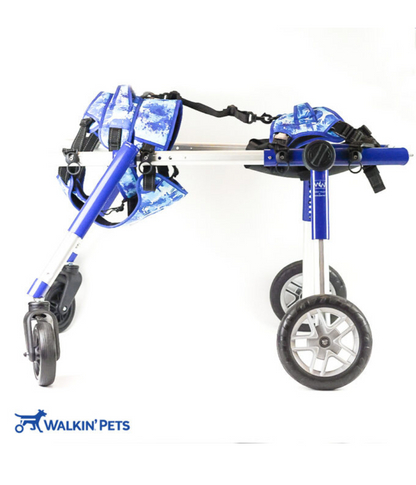 Buddy Up Harness Quad Panel