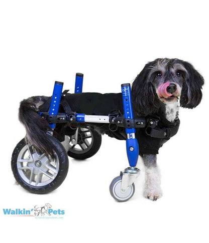 Walkin’ Wheels Full Support Quad 4 Wheel - Dog Wheelchair SMALL (3.5 - 11kg)