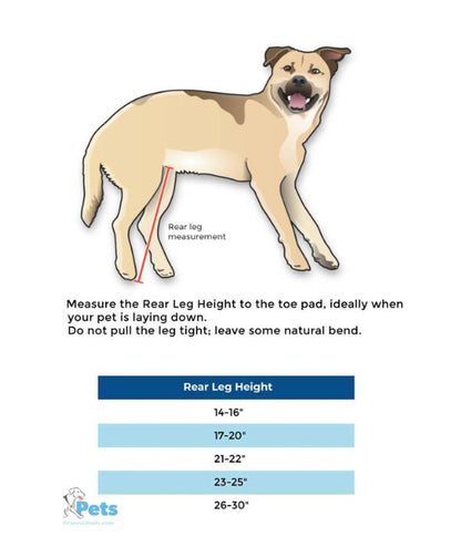 Walkin’ Wheels Full Support Quad 4 Wheel - Dog Wheelchair LARGE (31 - 82kg)